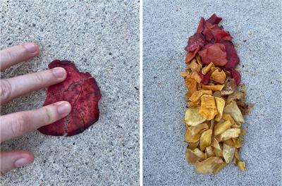 A hand reaches in from the left side of the image to crush a beet red chip on concrete with two fingers. A pile of chips resembles fall foliage.