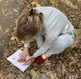 Visitor looking at brochure while sitting on ground