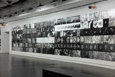 [6.Dust:Plates of the Present on view at the Pompidou Center Oct 2020 - March 2021; my series is toward the middle 4th row down]